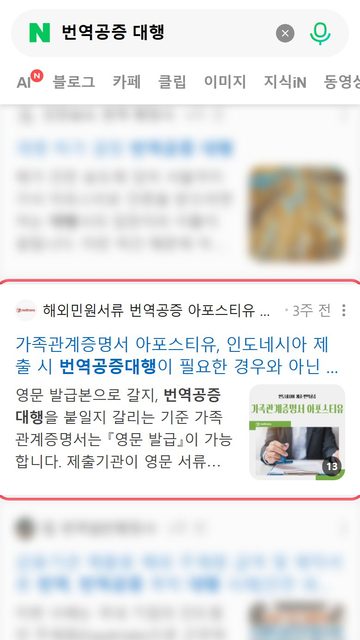 레드트랜스 네이버 블로그 노출 캡처